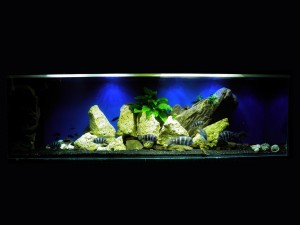 611 . III.  helyezett   Tóth Péter