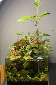 026 . Bruttó űrtartalom: 14 Liter