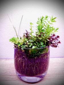 067. Egy pohár a rossz napokra.