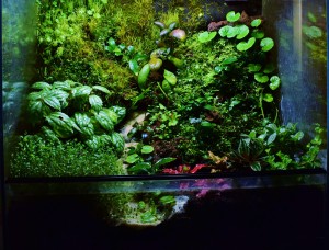 VI. helyezett :   Molnár Tamás