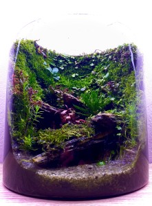 IV. helyezett :Bucskó Tamás