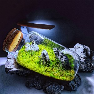 II .  helyezett : Erdős Márk