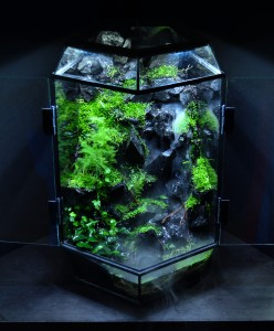 I. helyezett : Kendrella Balázs