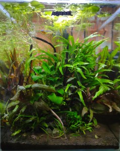 063 . 25x25x30 cm, 20 liter.