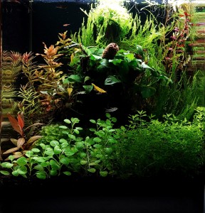 0103 . 30 széles 30 mély 35 magas