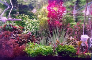 VI. Helyezett: Haller Péter