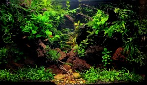 V. Helyzett :  Asztalosné Márton Klaudia