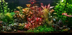 038 . 80x40x40 128 liter