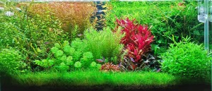 027 . 100*45*48cm, bruttó 216l