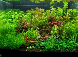 0142 . 80 liter méret 55.40.40