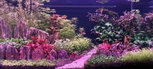 0124 . 80x40x40 akvárium