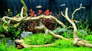 0154 . 180liter (Juwel Vision 180 LED)