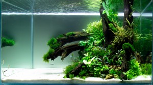 0149. 90x45x45. 180 L