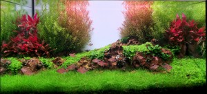 III. Helyezett :  Goór Krisztián