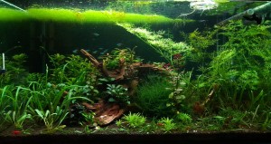 035. 85 liter (72×32×37)