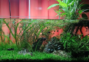 0110 . 60*30*35 63L.