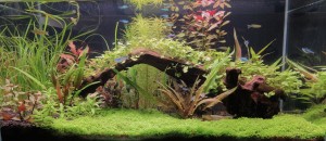 096 . 54 liter, 60x30x30