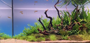 V. Helyezett :  Markot Imre