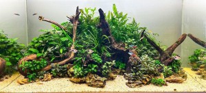 IV. Helyezett :  Erdős Márk