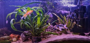 023. 100x40x50cm 200l 