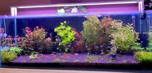 0129 .140x40x50 - 280l