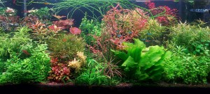 021 . 200 liter(100*40*50)