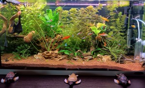 046 . Ferplast Capri 80