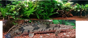 0140 . 150*50*50cm 375Liter