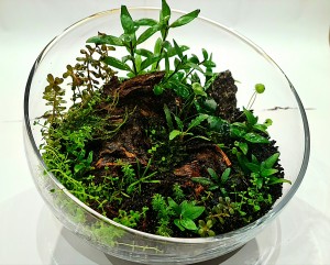 VI. Helyezett : Takács Zoltán