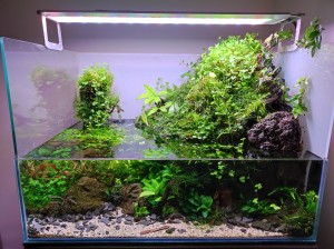 IV. Helyezett : Németh Balázs