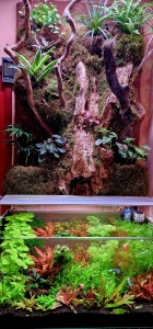 II. Helyezett : Árvai Norbert 