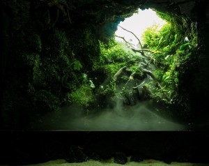 I. Helyezett :  Kendrella Balázs