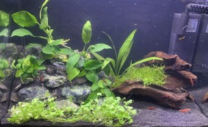 051. Méret:35x19x23. 15 liter