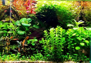 054. 30cm(hossz)x24cm(mag.) x18cm(mély) = br. 13 liter