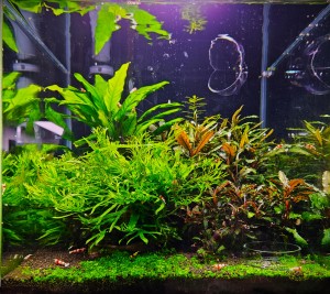 072 . Akvárium 30x30x30 27 liter