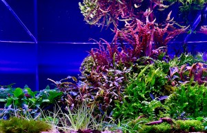 086. 40x30x30=36 liter