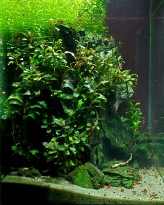 081. 20 literes 24.24.35