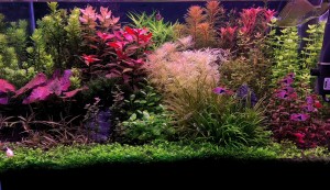 009 .  60x40x35 br 84L