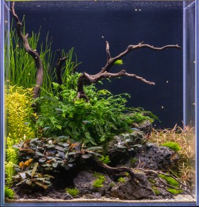 021 . 45cm x 50cm x 35cm