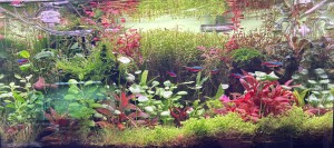 090. 60x30x30 60 liter