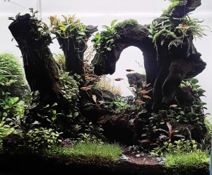 024 . /Észrevehetetlen rejtekhely/