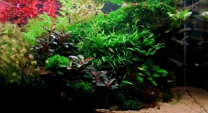 034 . 60 literes 60.30.36 