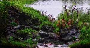 I. Helyzett : Takács Zoltán 