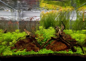 031 . Dennerle Nano Scapers Tank - 55 liter