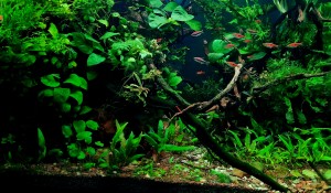 Asztalosné Marton Klaudia