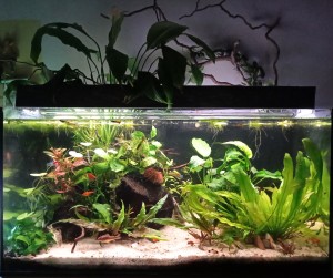 137. Vízben és túl