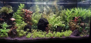 023 . 112 liter (80x35x40 cm) 