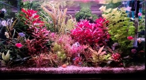 114. 85x45x37--140liter.