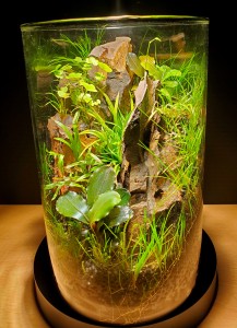 III. Helyezett : Bilibok László 