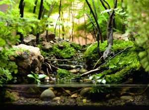 I. Helyezett :  Kendrella Balázs